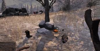 Savage Lands