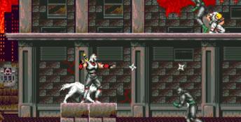 Shadow Dancer (1989) PC Screenshot
