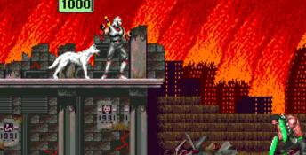 Shadow Dancer (1989) PC Screenshot