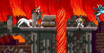 Shadow Dancer (1989) PC Screenshot