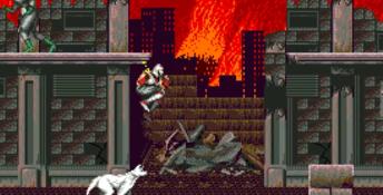 Shadow Dancer (1989) PC Screenshot