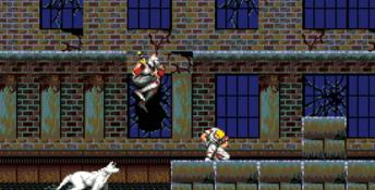 Shadow Dancer (1989) PC Screenshot