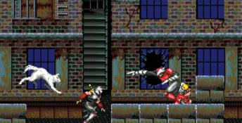 Shadow Dancer (1989) PC Screenshot