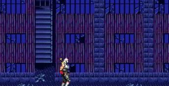 Shadow Dancer (1989) PC Screenshot
