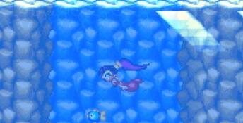 Shantae Advance: Risky Revolution PC Screenshot