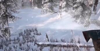 Short Snow