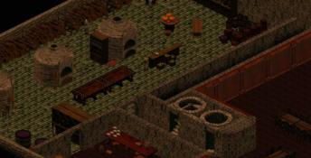 Siege Of Avalon: Anthology PC Screenshot