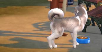 Sims 4 Cats and Dogs PC Screenshot