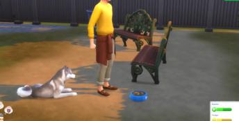Sims 4 Cats and Dogs PC Screenshot