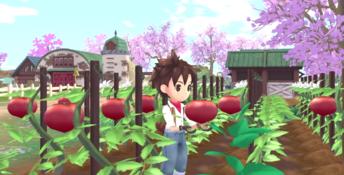 STORY OF SEASONS: A Wonderful Life