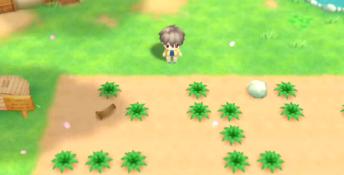 STORY OF SEASONS: Friends of Mineral Town PC Screenshot