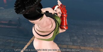 Street Brawler: Adult Playground PC Screenshot