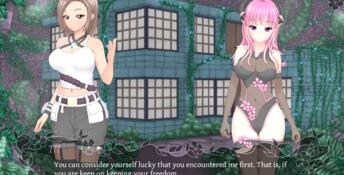 Succubus Research Diary