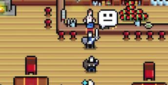 Super Fantasy Kingdom PC Screenshot