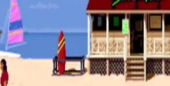 Surf Ninjas PC Screenshot