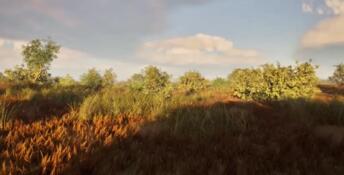 Tales Of Meadows