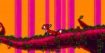 TANGLEWOOD