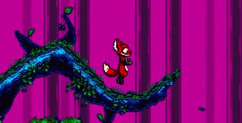TANGLEWOOD