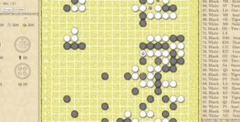 The Conquest of Go