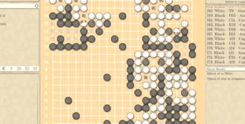 The Conquest of Go