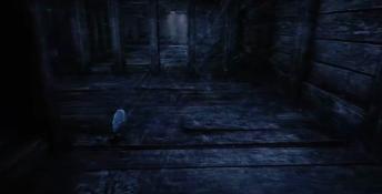 The Dark Occult