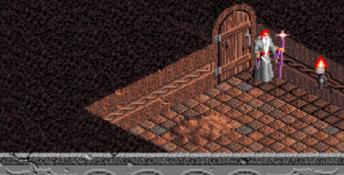 The Immortal PC Screenshot