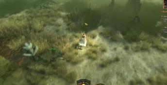 The Incredible Adventures of Van Helsing PC Screenshot