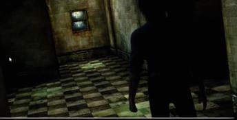 The Interim Domain