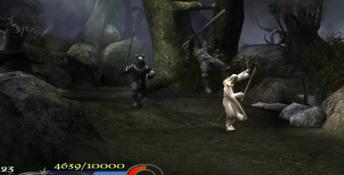 Lord of The Rings: Return of The King PC Screenshot