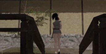 The Lost Shinobi PC Screenshot