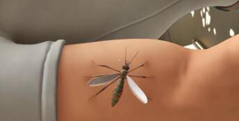 The Mosquito Gang