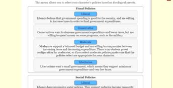 The Political Process