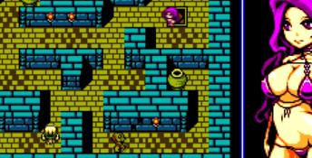 The Tower of Succubus PC Screenshot