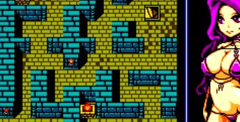 The Tower of Succubus PC Screenshot