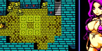 The Tower of Succubus PC Screenshot