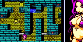 The Tower of Succubus PC Screenshot
