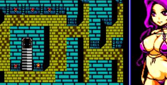 The Tower of Succubus PC Screenshot