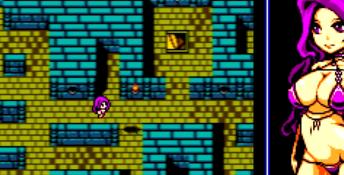The Tower of Succubus PC Screenshot