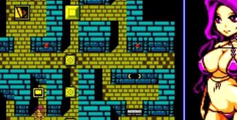 The Tower of Succubus PC Screenshot