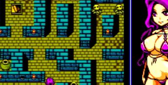 The Tower of Succubus PC Screenshot