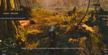 The Witcher 3: Wild Hunt PC Screenshot
