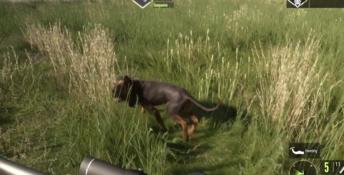 theHunter: Call of the Wild - Bloodhound