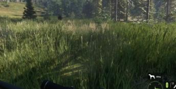 theHunter: Call of the Wild - Bloodhound