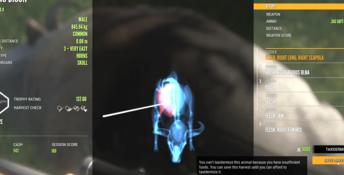 theHunter: Call of the Wild - Bloodhound