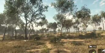 theHunter: Call of the Wild - Emerald Coast Australia