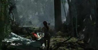 Tomb Raider 2013 PC Screenshot