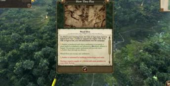 Total War: WARHAMMER - Realm of The Wood Elves