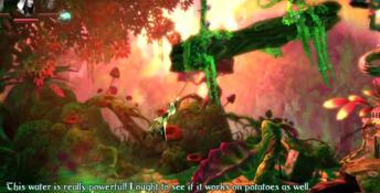 Trine 2: Complete Story