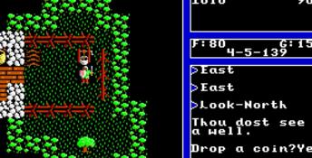 Ultima 5: Warriors of Destiny PC Screenshot