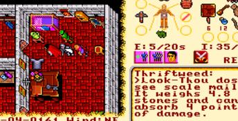 Ultima VI: The False Prophet PC Screenshot